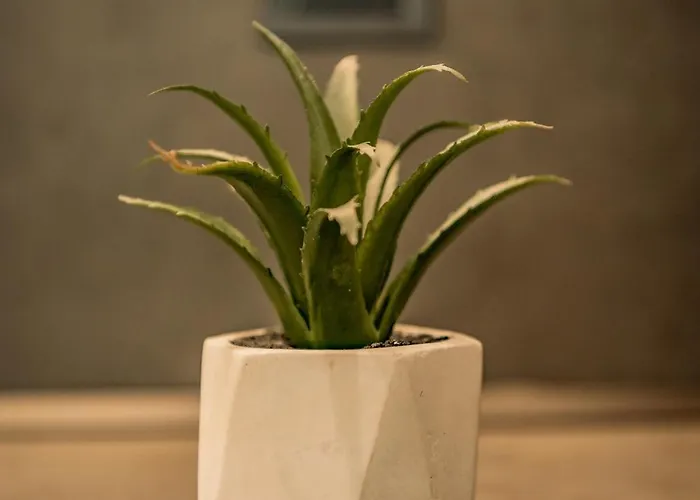 Apartamento Urban Luxury *