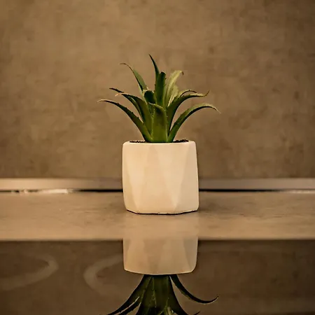 Urban Luxury