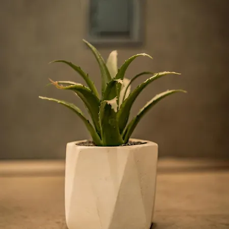 Appartement Urban Luxury *