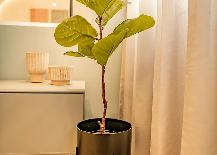 Apartament Urban Luxury